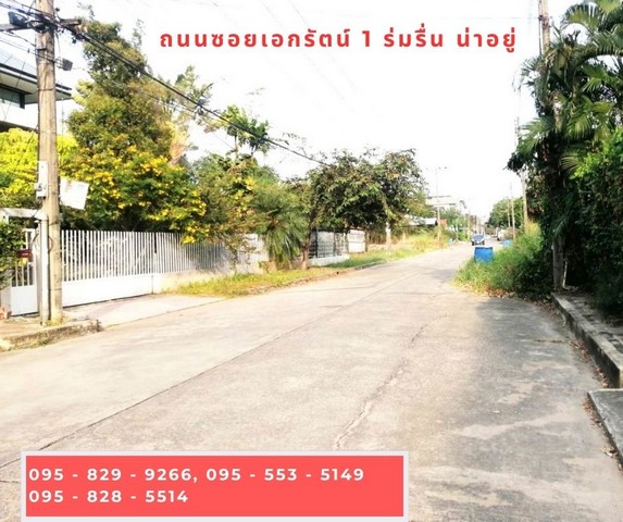 ขายที่ดินถมกว่าถนน 98 วาขายต่ำกว่าราคาประเมิน ม.เมืองเอก ปทุมธานี