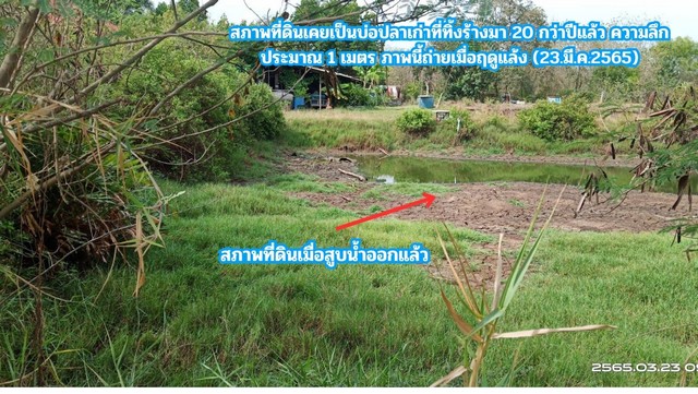 ขายที่ดิน ติดคลอง 2 ไร่ ต.สนามจันทร์  อ.บ้านโพธิ์ จ.ฉะเชิงเทรา