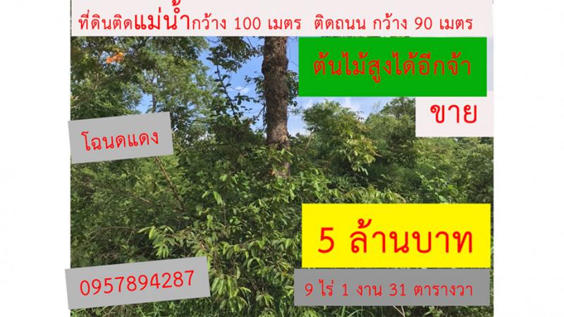 ขาย ที่ดิน ติดแม่น้ำ และ ติดถนน ที่ดินริมน้ำ เหมาะสร้างรีสอร์ท  9 ไร่ 1 งาน 31 ตร.วา