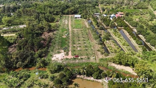 ขายสวนทุเรียนติดลำธาร วิวเขา ใกล้ ม.พระจอมเกล้าพระนครเหนือเขตปราจ.