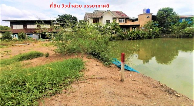 ขายที่ดินถมแล้ว 40-200 ตรว สวนพริกไทย ปทุมธานี.