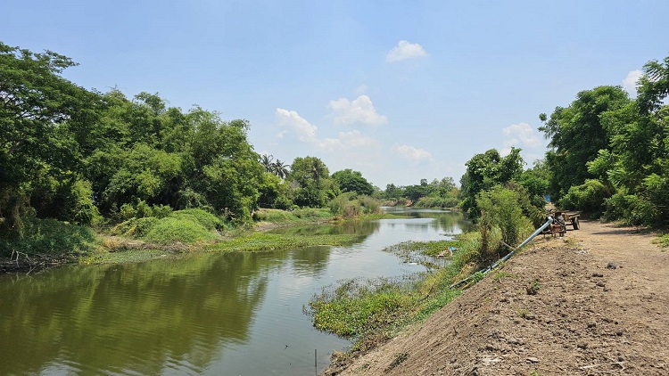 ขายที่ดินติดถนน ทำเลดี อำเภอเดิมบางนางบวช สุพรรณบุรี