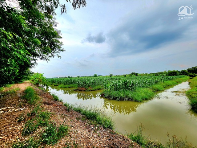 ขายที่ดินติดถนนลาดยางเรียบคลอง คลอง 11 หนองเสือ .