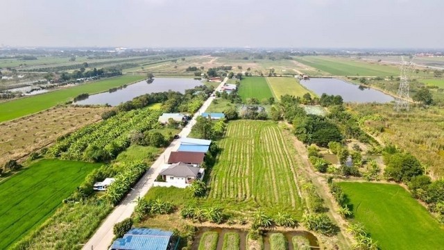 ที่ดินคลองแปด ซอยบึงบอน20 หนองเสือ ปทุมธานี 200 ตรว..