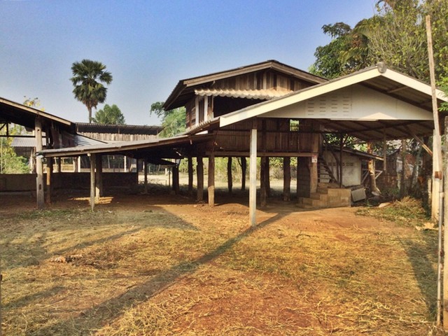 ขาย ที่ดินพร้อมสิ่งปลูกสร้าง บ้านพักอาศัยไม้ใต้ถุนสูง 1 ชั้น   .