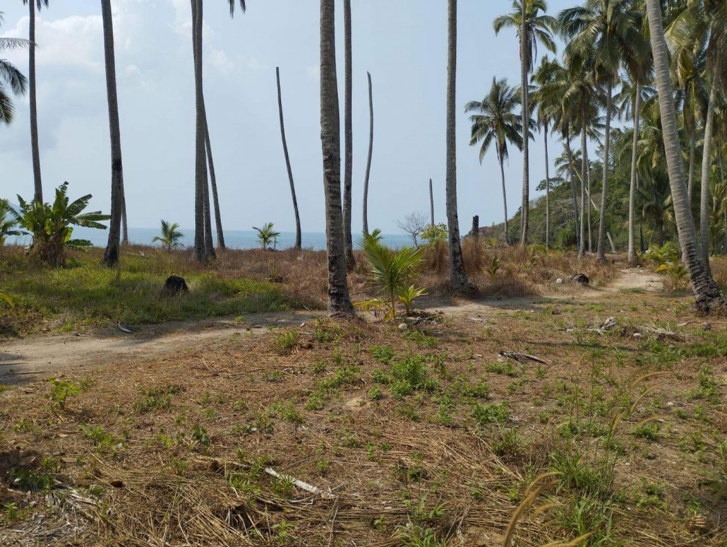 ขาย ที่ดิน ใกล้หาดมาก บนเกาะช้าง ที่ดิน บนเกาะช้าง 24 ไร่ 2 งาน ที่สวยในราคาถูก 100ล้าน