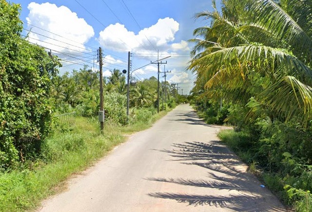 ขายที่ดินสวนเกษตร (ยาง+มะพร้าว) ต.ชัยบุรี อ.เมืองพัทลุง 7-1-88 ไร.