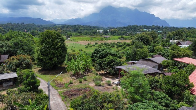 ขายที่ดินแปลงเล็ก 105 ตรว. เอกสารโฉนดพร้อมโอน กลางเมืองเทศบาลเชีย.