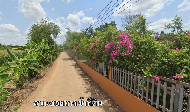 ขายที่ดินถมแล้วติดคลองพระสะทึงและติดถนนสาธารณะ เนื้อที่ 41 ไร่เศษ