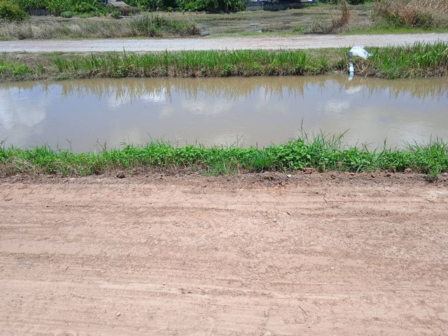 ขายที่ดิน อำเภอเวียงชัย จังหวัดเชียงราย.