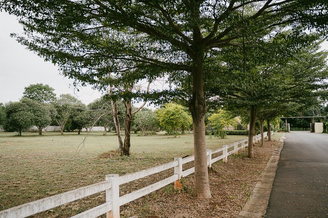 ขายที่ดินพร้อมบ้าน  ตำบลหมูสี อำเภอปากช่อง.