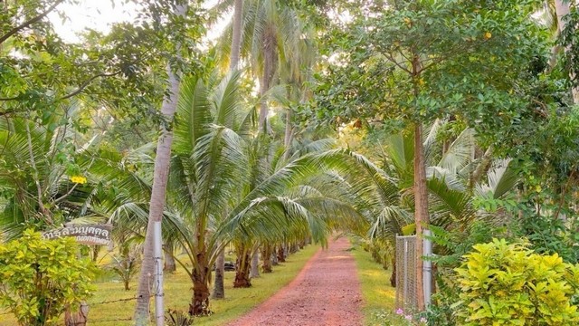 สำหรับชาวนักลงทุนและผู้หาซื้อทรัพย์ดีดี    ขายที่ดินติดทะเล หาดฝั.