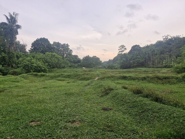 ขายที่ดิน บ้านลิพอน-ควนตาแท่น อำเภอถลาง จังหวัดภูเก็ต.