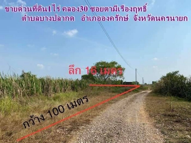 ขายด่วน ที่ดิน 1 ไร่ คลอง30 อ.องครักษ์ จ.นครนายก.