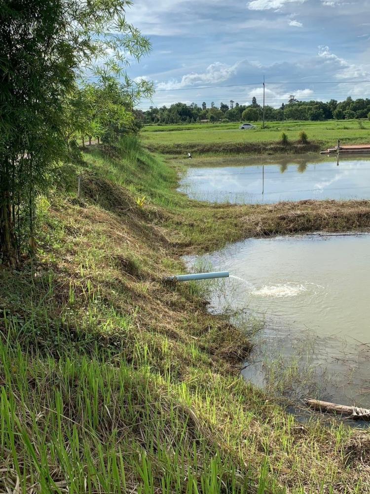 ขายบ้านมือสอง   อำเภอเฉลิมพระเกียรติ  สระบุรี.