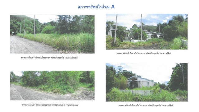  บ้านเดี่ยวทั้งโครงการ ออลสวีท ภูเก็ตซิตี้-พันวา .