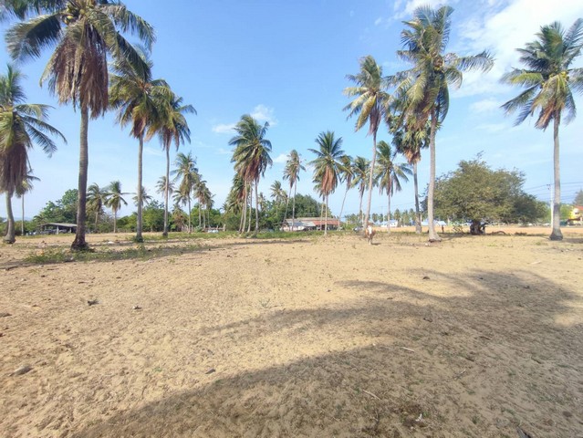 ขายที่ดิน ที่ดิน กุยบุรี ติดถนนเลียบชายหาด กุยบุรี .