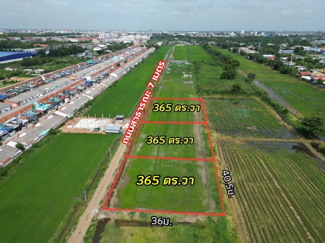 ขายที่ดินคลองสอง ปทุมธานี ใกล้ตลาดไท ติดกับถนน เนื้อที่ 365 ตรว..