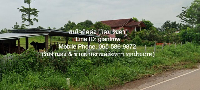 ขายบ้าน ค.ส.ล. 1 ชั้น บ.โพนงาม ต.เพ็ญ อ.เพ็ญ จ.อุดรธานี 7-0-81 ไร.