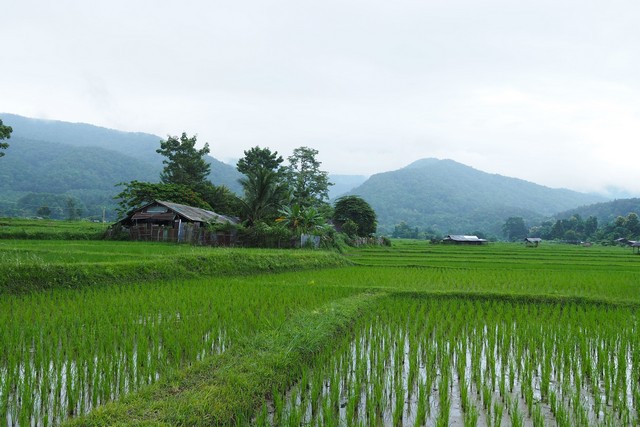 ที่ดินแปลงสวย...วิวดอยภูคา...ใกล้แหล่งท่องเที่ยวชื่อดัง อ.ปัว  .