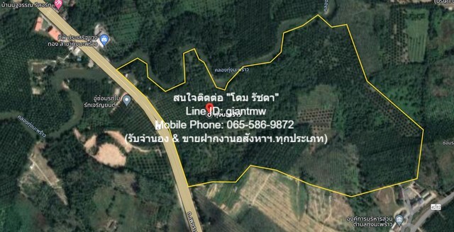 ขายที่ดินเปล่าสวนปาล์ม ท้ายเหมือง พังงา 36-2-23.4 ไร่ (ติด ถ.เพชร.