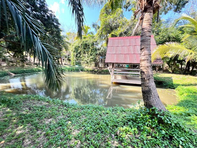 ที่ดินแปลงสวย ใกล้ใจกลางเมืองใกล้ชิดธรรมชาติ จ.น่าน  .