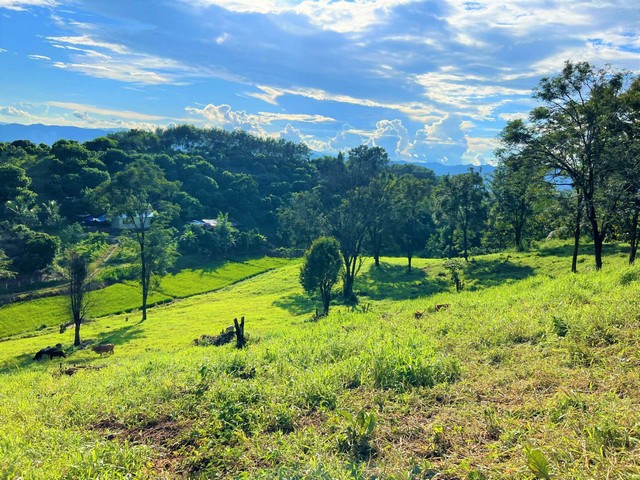 ที่ดินเนินดอยจังหวัดน่านราคาจับต้องได้วิวร้อยล้าน