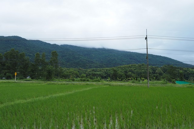 ที่ดินวิวดอยภูคา ทำเลทอง เหมาะสำหรับสร้างธุรกิจในฝัน  อ.ปัว  .