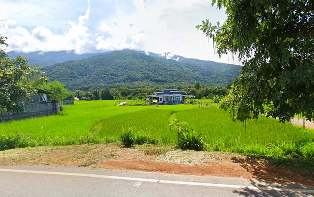 ที่ดินติดถนนใหญ่วิวดอยภูคา ทำเลสวย ติดถนน   .