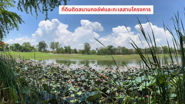 ขายที่ดินถมแล้ว 373 วาวิวสวยสนามกอล์ฟบางไทรคันทรี อยุธยา  .