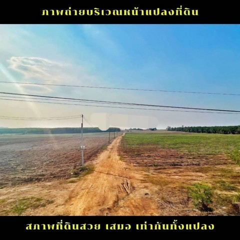 ขายที่ดินหนองเสือช้าง หนองใหญ่ ชลบุรี   .