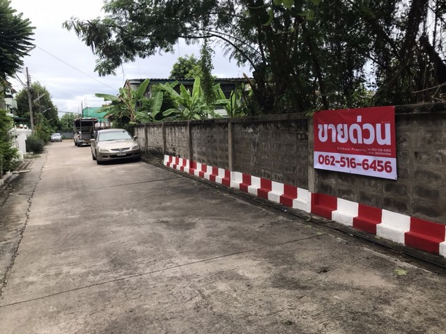 ขายที่ดินใจกลางอ่อนนุช 55-3 ขนาด 342-480 ตร.ว.  .