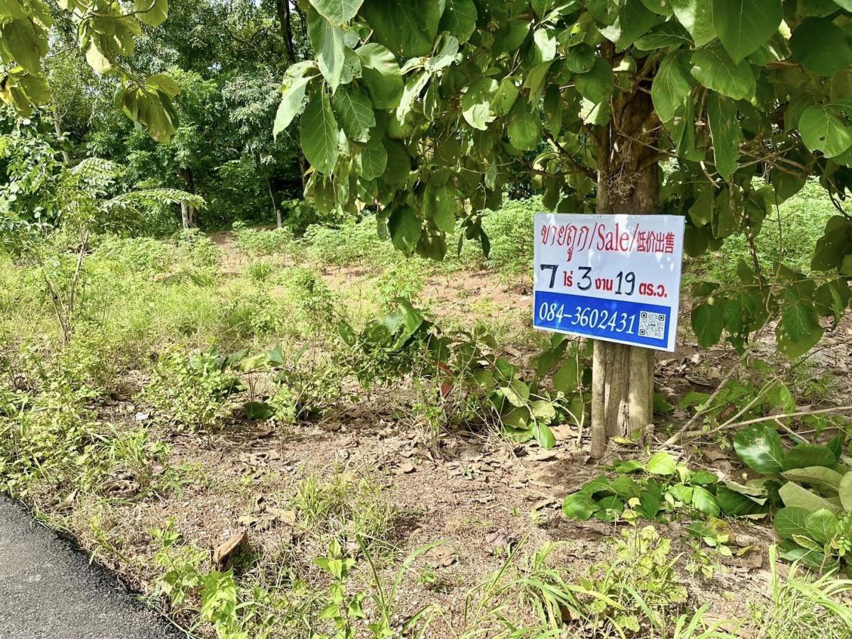 ขายที่ดิน ศรีมหาโพธิ ปราจีนบุรี