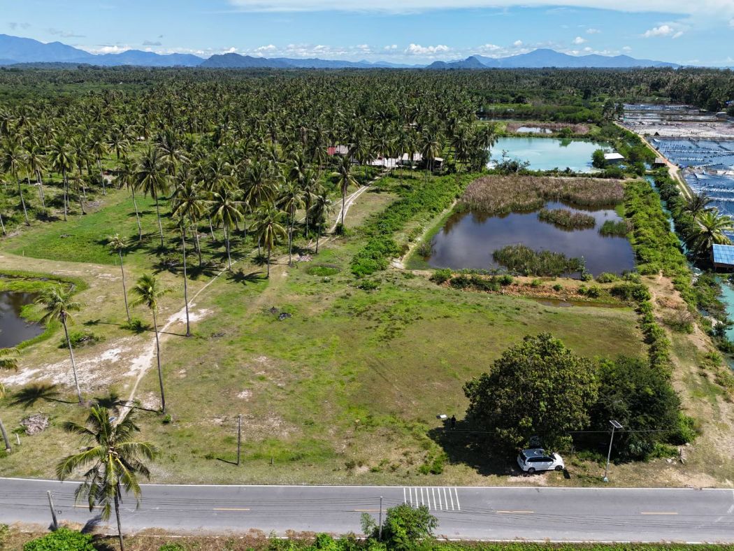 ขาย ที่ดิน ใกล้ทะเลท่าศาลานครศรีธรรมราชที่ดินใกล้ทะเล 362 ตร.วา เหมาะทำกิจการ หรือสร้างที่อยู่อาศัย