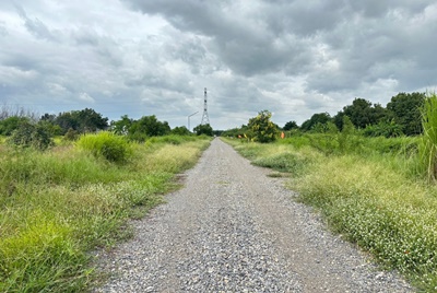  ขาย ที่ดิน 260 ตร.ว ที่ดินแบ่งขาย โครงการที่ดิน สวนมะลิเก่า คลอง  .