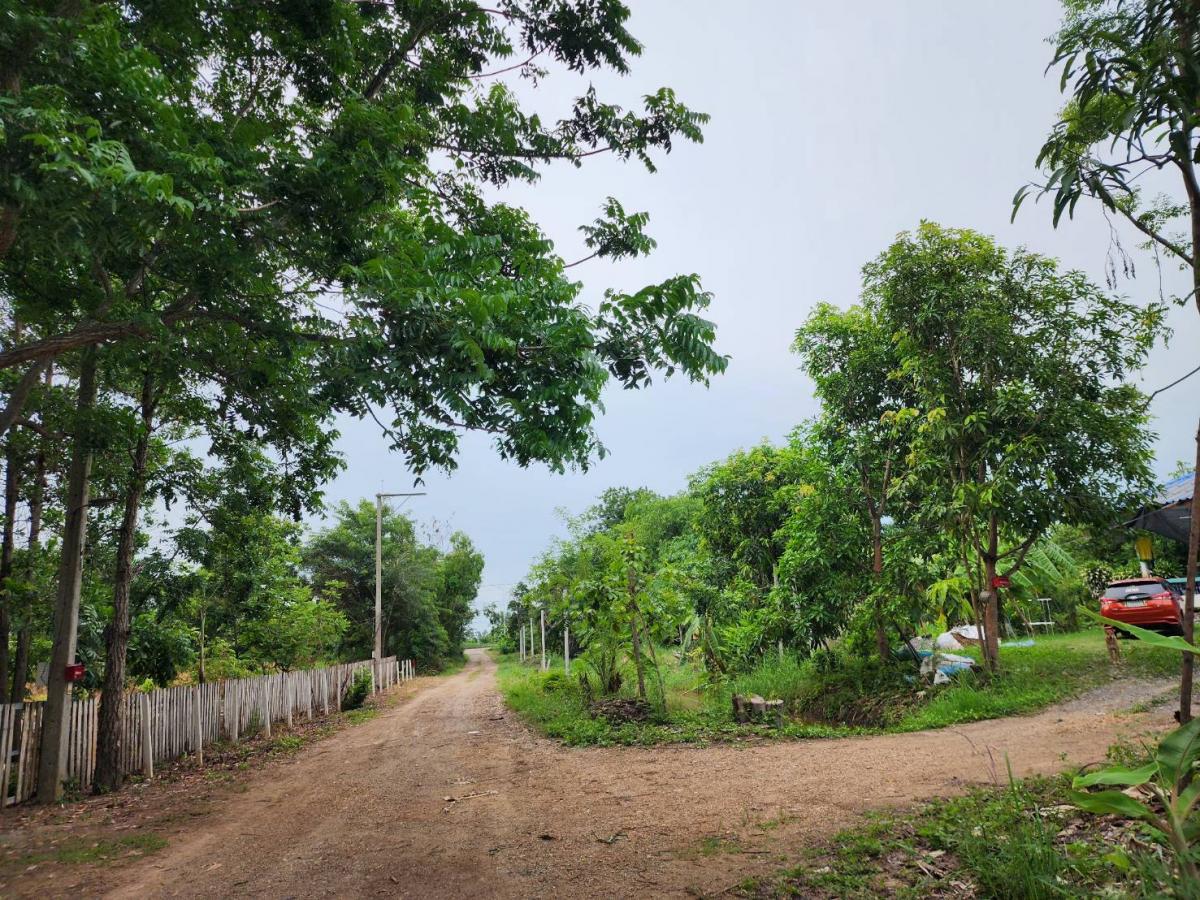 ขาย ที่ดินราคาถูก จ.ปทุมฯ อ.หนองเสือ ต.บึงกาสาม ขนาด 100 ตรว.