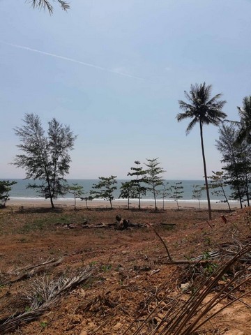 ขายที่ดินติดทะเล หาดทุ่งทะเล  อำเภอเกาะลันตา จังหวัดกระบี่ โฉนดคร  .