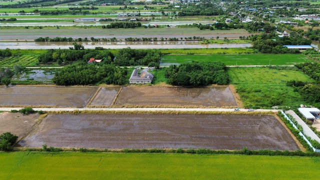 ขายที่ดิน คลองห้า ซอยกลั่นกรอง ตะวันตก  อ.คลองหลวง จ.ปทุมธานี   .