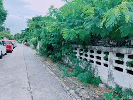 ขาย ที่ดิน สะพานควาย อินทามาระ 1 งาน 14 ตร.วา ถมแล้ว ใกล้ BTS สะพานควาย พหลซอย14 อินทามาระ