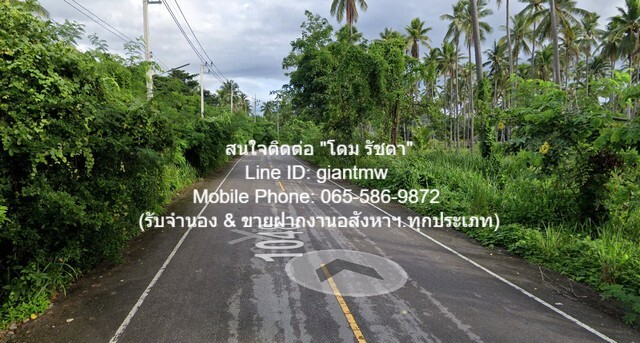 ให้เช่าที่ดินเปล่าทำการเกษตร 40 ไร่ (มีแหล่งน้ำ) อ.ทับสะแก จ.ประจ  .