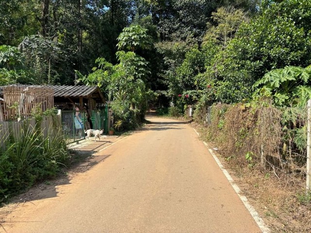 ที่ดินติดลำธาร วิวสวย น้ำไฟฟ้า ถนนคอนกรีต น้ำแพร่ หางดง   .