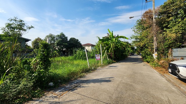 ขายที่ดิน รังสิต คลอง8  ปทุมธานี  .