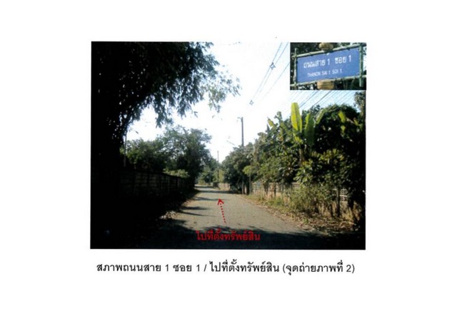 ขายที่ดิน  อำเภอเชียงแสน  จังหวัดเชียงราย  เนื้อที่ 50 ตร.ว.