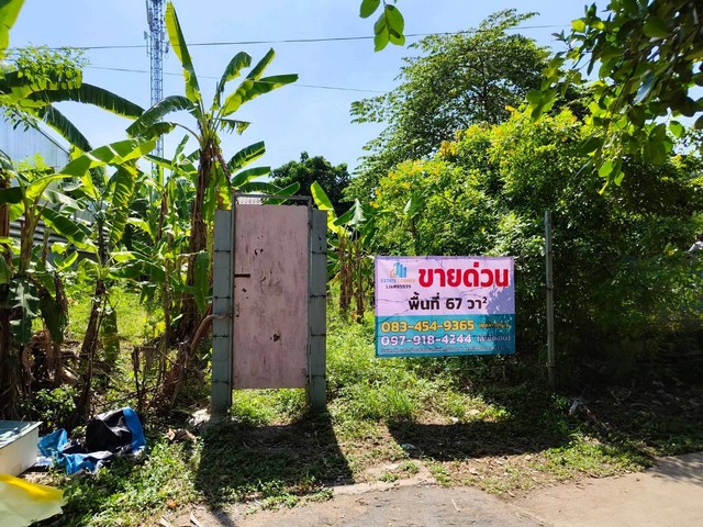 ขายที่ดิน พัฒนาชนบท 3 ติดน้ำ แถวร่มเกล้า-ลาดกระบัง  .