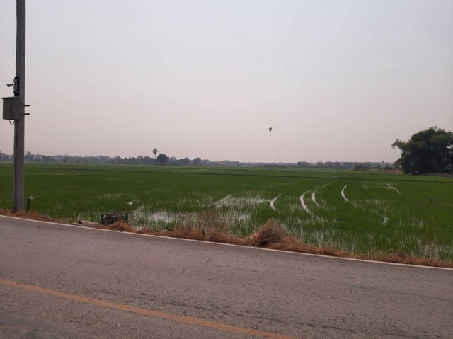 ขายที่ดินแปลงสวย อ.บางใหญ่ จ.นนทบุรี   49-2-10 ไร่  .