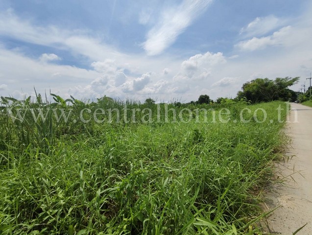 ที่ดินเปล่า 100 ตร.ว. คลอง 5 คลองหลวง - ปทุมธานี    .