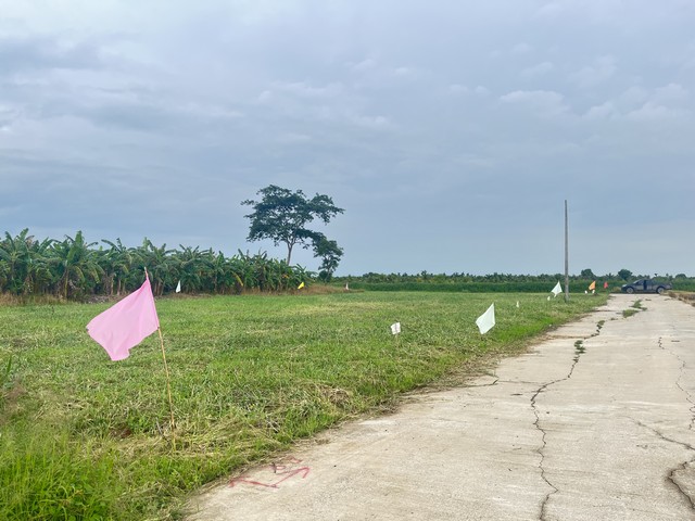 ขายที่ดิน คลอง 11 ตะวันออก ต. หนองสามวัง อ. หนองเสือ จ.ปทุมธานี   .