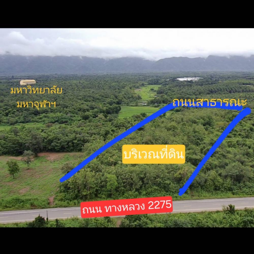 ขายที่ดินพร้อมไม้สักทอง 13 ปี อำเภอหล่มสัก จังหวัดเพชรบูรณ์   .