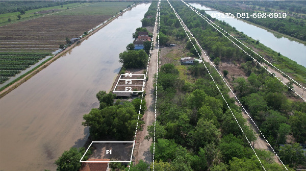  ขาย ที่ดินจัดสรร ต.บึงบา อ.หนองเสือ คลอง 10  .