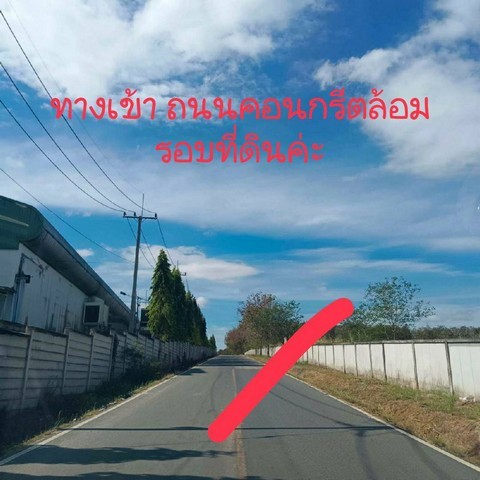 ขายที่ดินหนองเสือช้าง อำเภอหนองใหญ่ จังหวัดชลบุรี   .